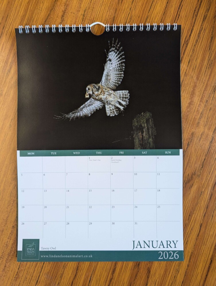 Calendar 2026 - Image 2