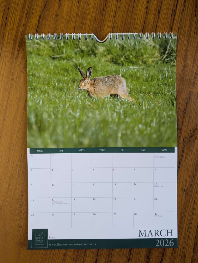 Calendar 2026 - Image 4