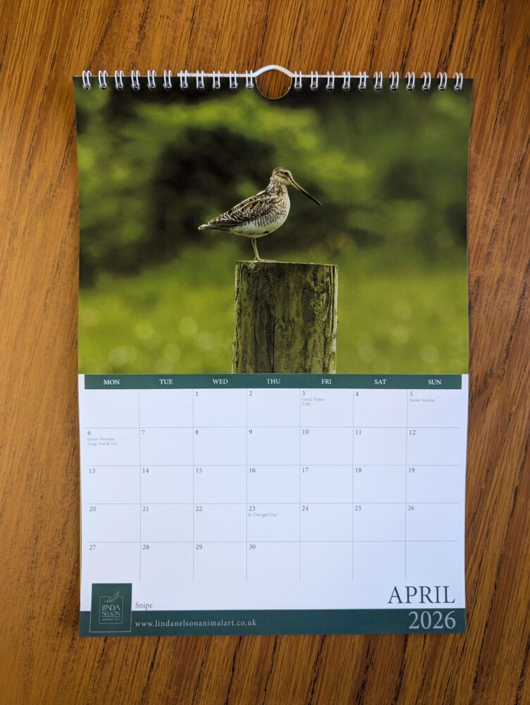 Calendar 2026 - Image 5