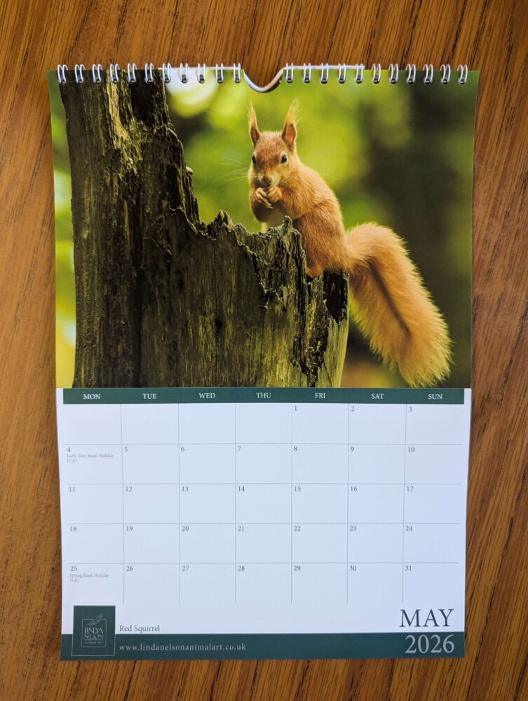 Calendar 2026 - Image 6