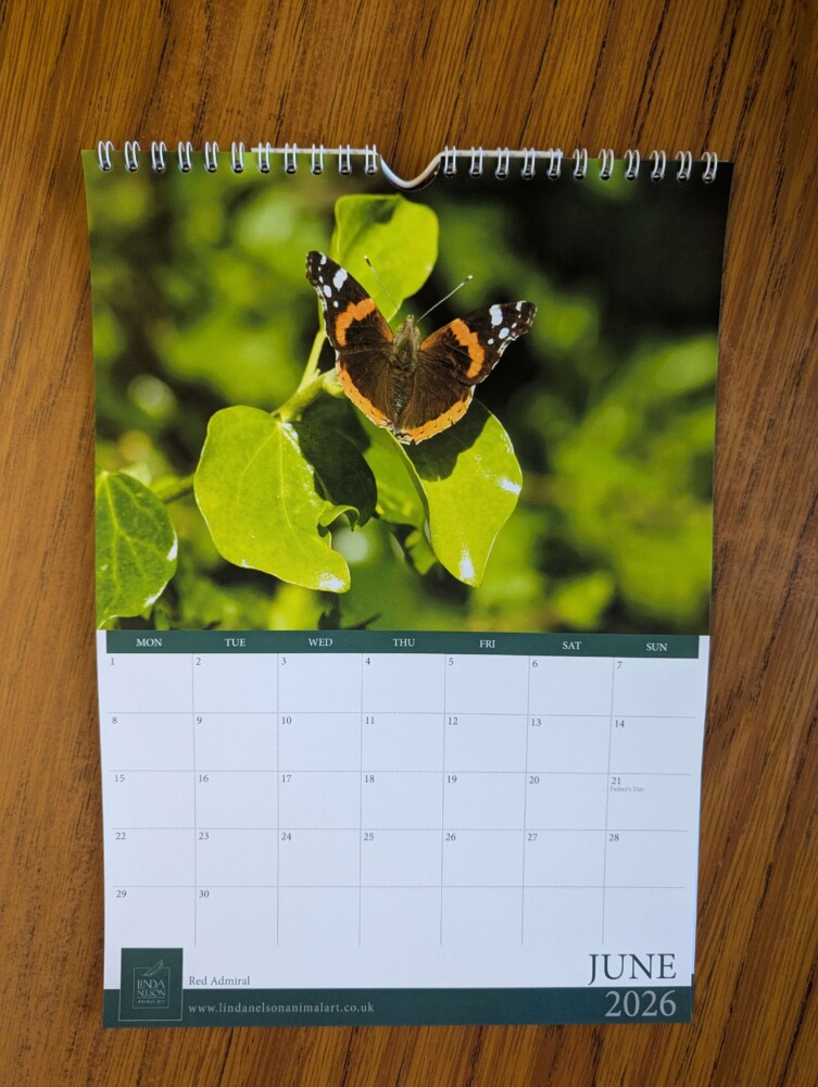 Calendar 2026 - Image 7