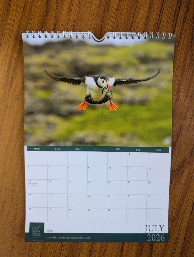 Calendar 2026 - Image 8