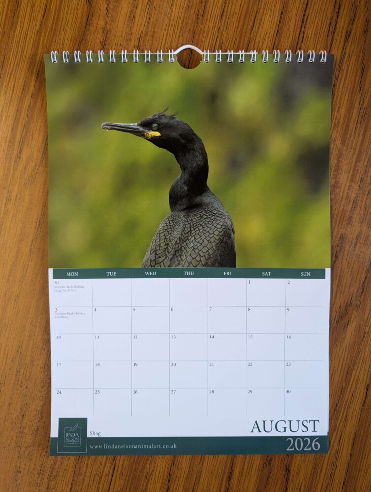 Calendar 2026 - Image 9
