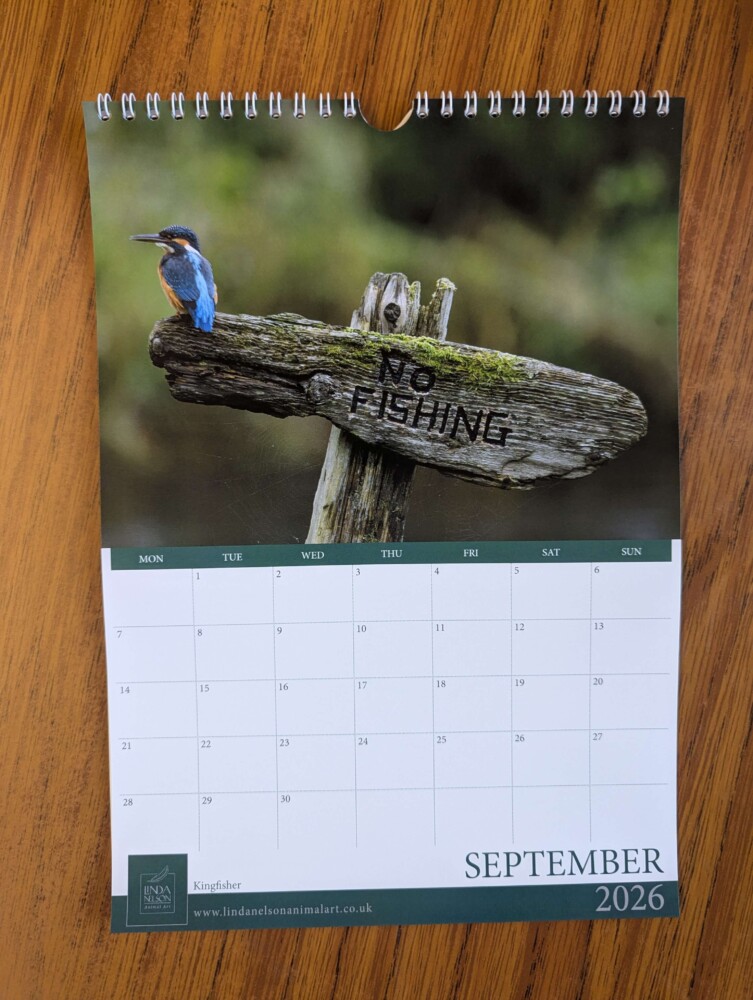 Calendar 2026 - Image 10