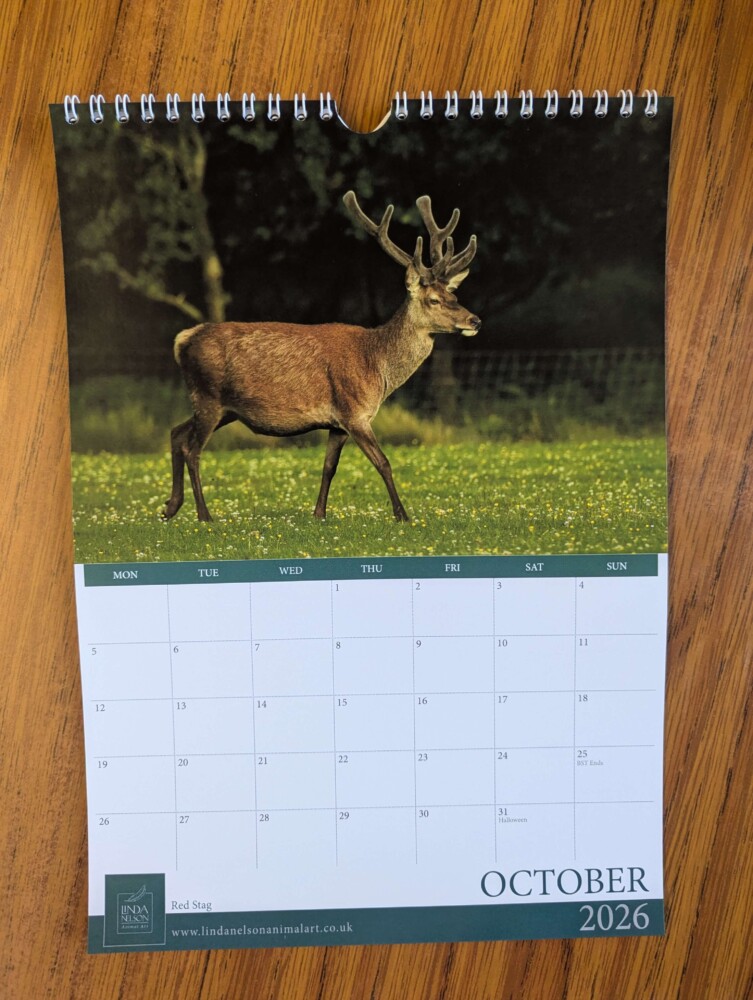 Calendar 2026 - Image 11