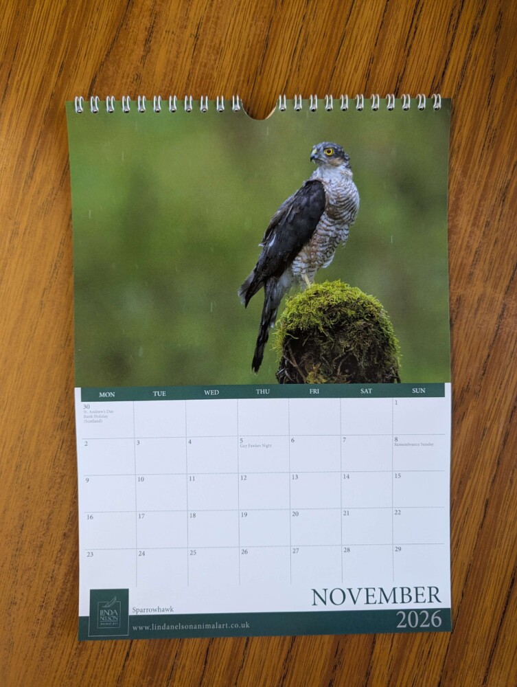 Calendar 2026 - Image 12