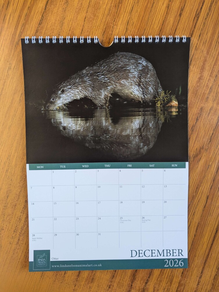 Calendar 2026 - Image 13