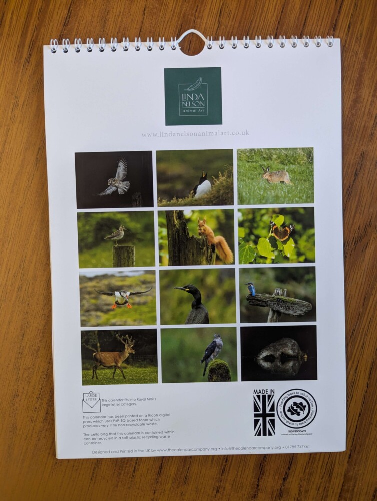 Calendar 2026 - Image 14