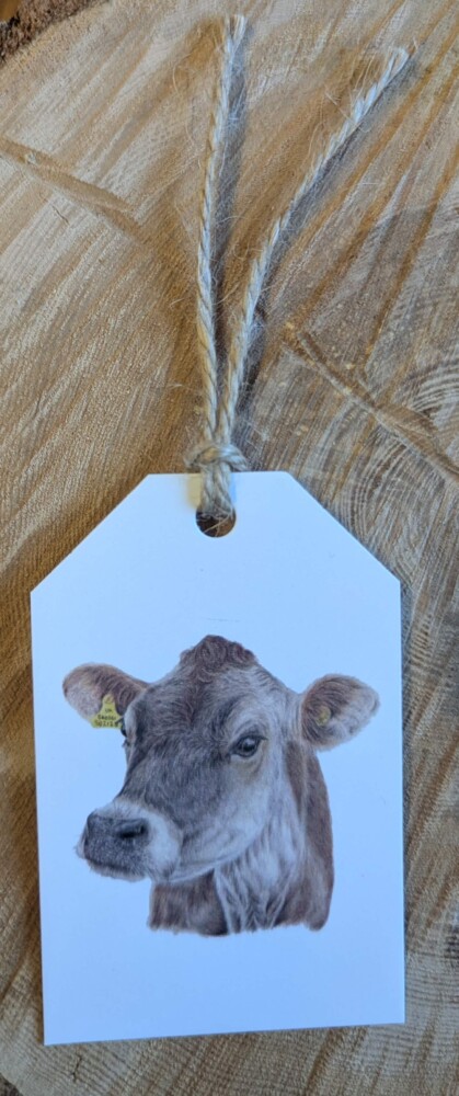 Jersey cow gift tag