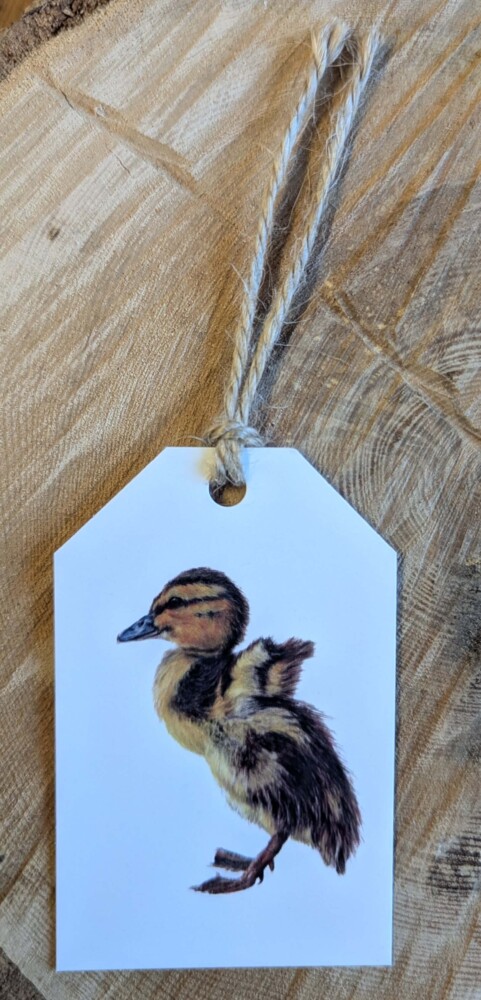 Duckling Gift Tag