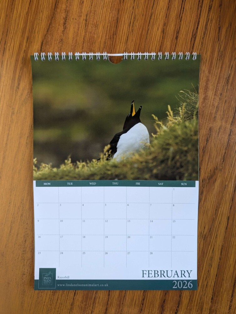 Calendar 2026 - Image 3