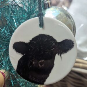 Galloway Ceramic Decoration