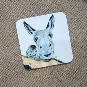 Donkey Coaster
