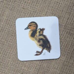 Duckling Coaster