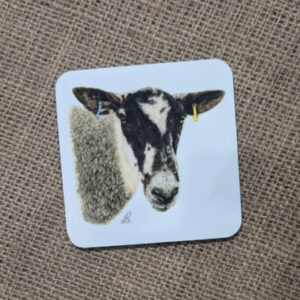 Mule ewe Coaster