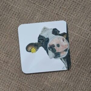 Nosy Cow Coaster
