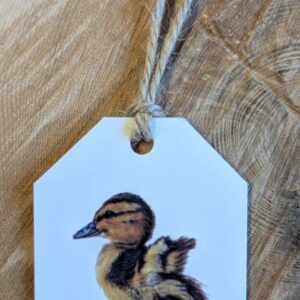 Duckling Gift Tag