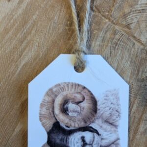 Scottish Blackface Tup Gift Tag