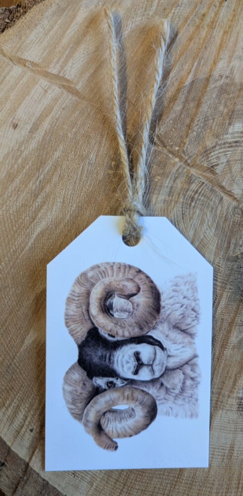Scottish Blackface Tup Gift Tag