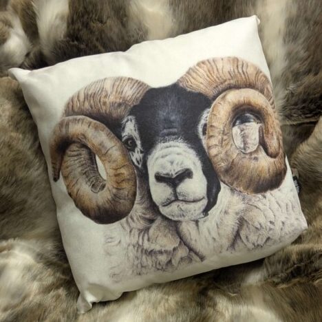 Scottish Blackface Tup Cushion