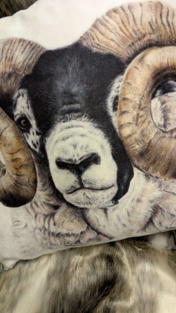 Scottish Blackface Tup Cushion - Image 2