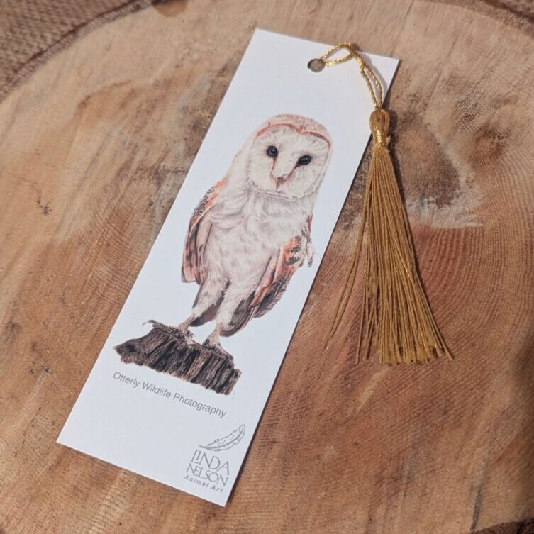 Barn owl Bookmark
