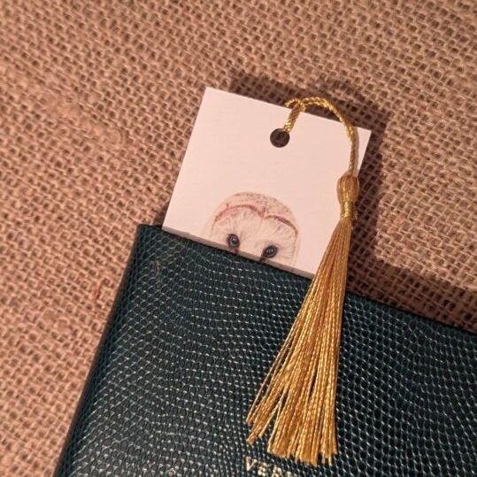 Barn owl Bookmark - Image 3