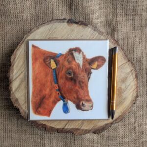 Ayrshire Cow Square Card
