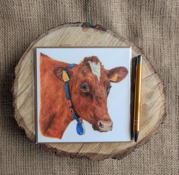 Ayrshire Cow Square Card
