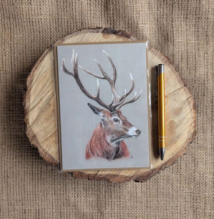 Red Deer Stag Portrait Card (Grey)