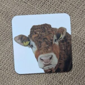 Limousin Bull Coaster