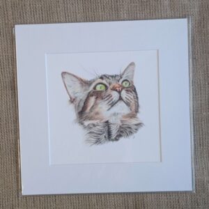 Tabby Cat Square Giclee Print