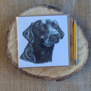 Black Labrador Square Card