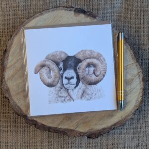 Scottish Blackface Tup Square Card