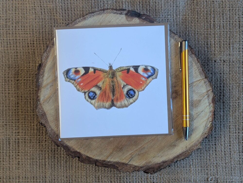 Red Admiral Butterfly Square Card