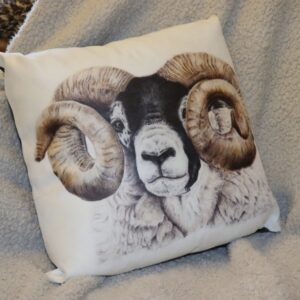 Cushions