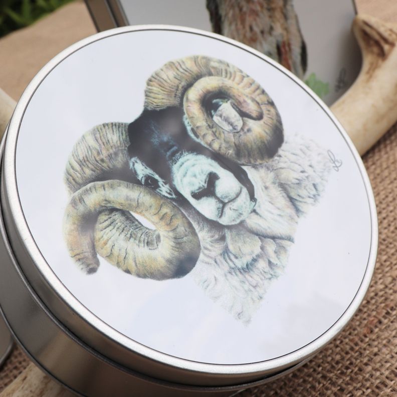 Scottish Blackface Tup Round Tin