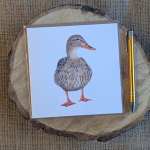Duck Square Card