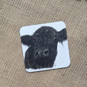 Galloway Coaster