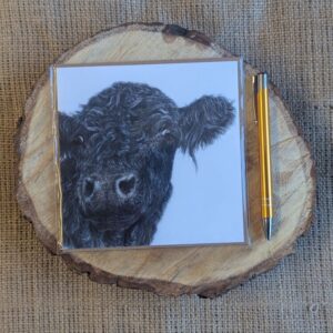 Galloway Cow Square Card