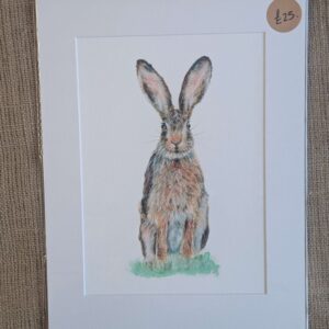 Hare A4 Giclee Print