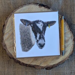 Mule Ewe Square Card