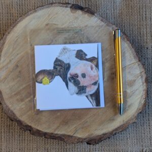 Nosy Cow Square Notelet