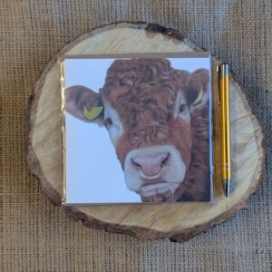 Limousin Bull Square Card