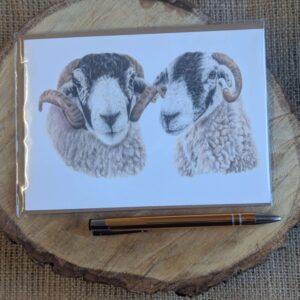 Swaledale sheep Card