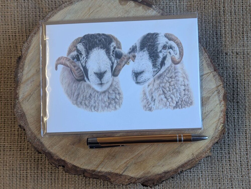 Swaledale sheep Card