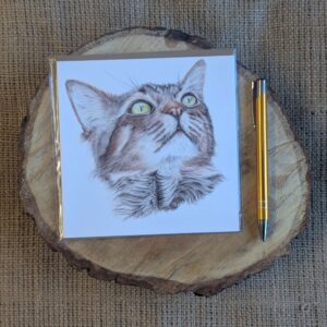 Tabby Cat Square Card