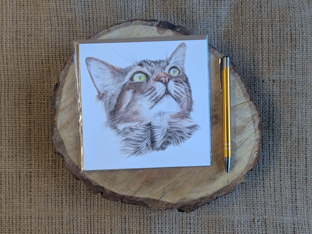 Tabby Cat Square Card