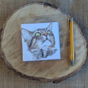 Tabby Cat Square Notelet