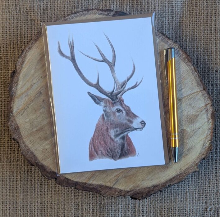 Red Deer Stag Portrait Card (White)